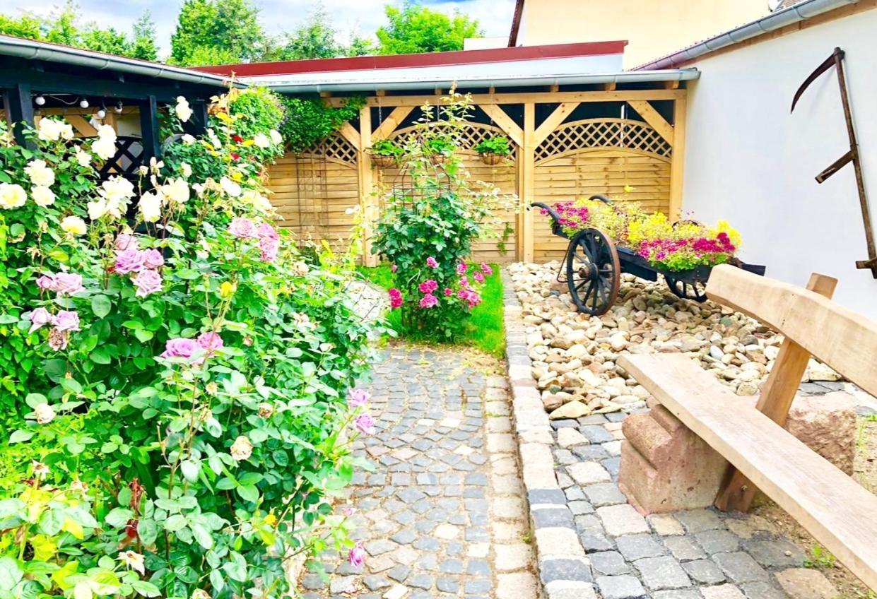 Ferienwohnungen Grimma 3 Екстер'єр фото